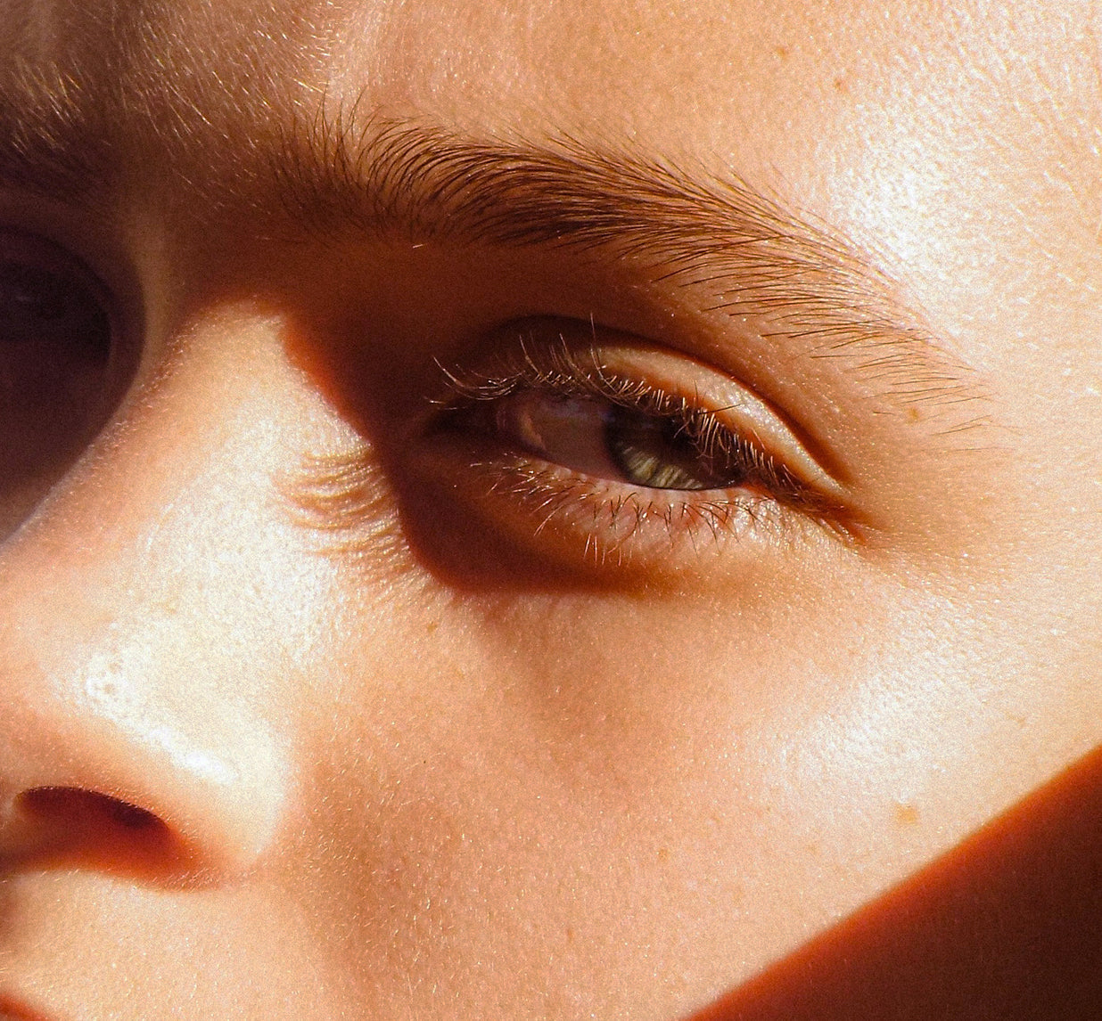 Antioxydants et jeunesse : des alliés essentiels pour une peau éclatante