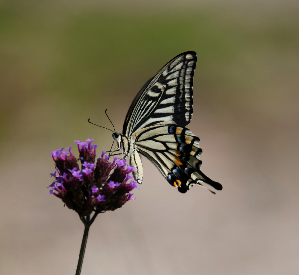 Beauté durable : réponses à vos questions sur les cosmétiques éco-responsables