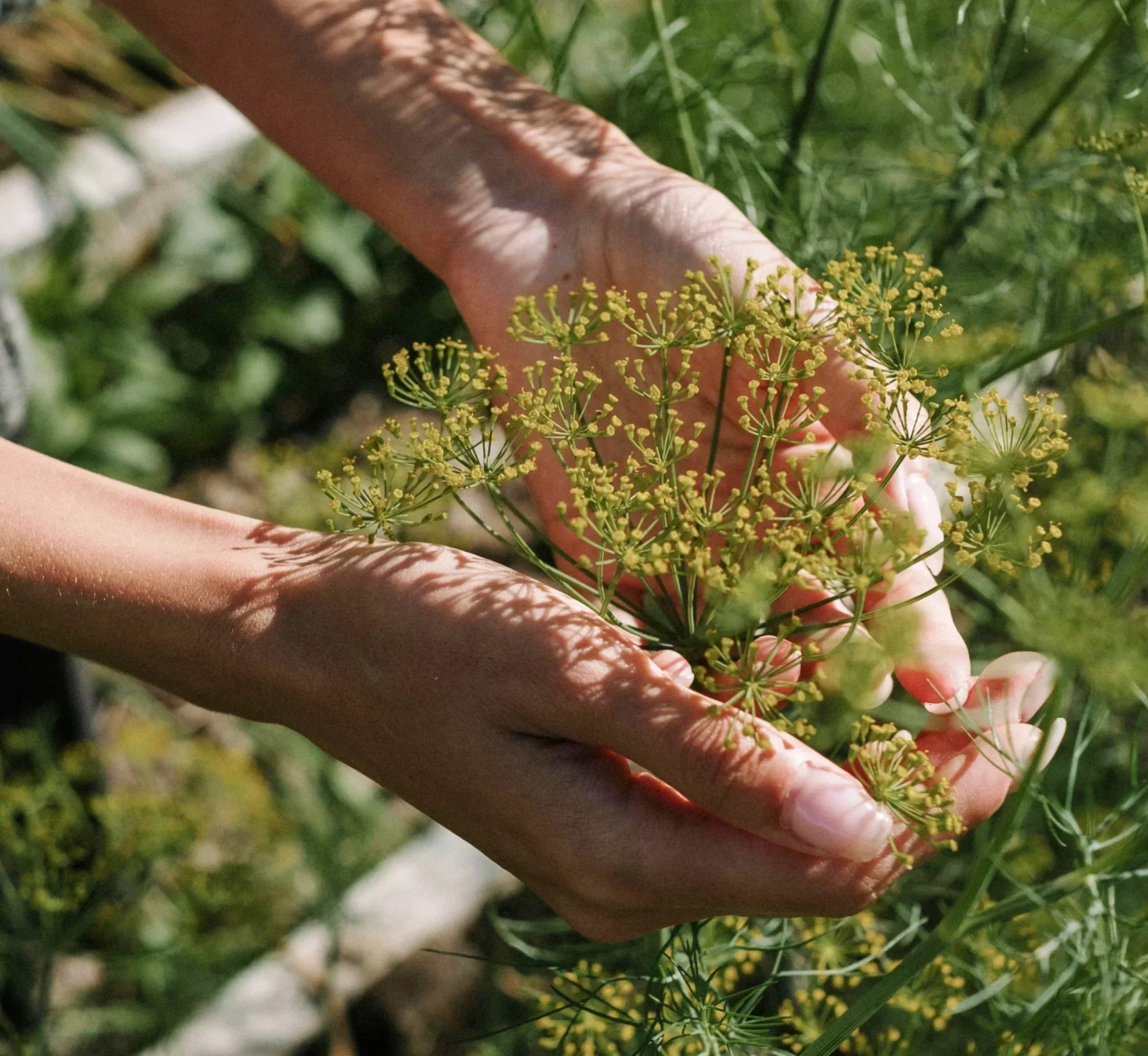 Beauté durable : réponses à vos questions sur les cosmétiques éco-responsables